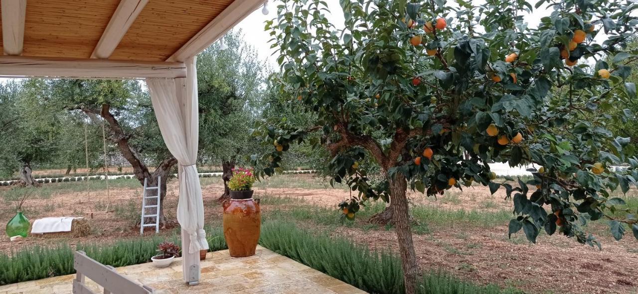 La Relais Del Trullo Bed & Breakfast Putignano Exterior photo