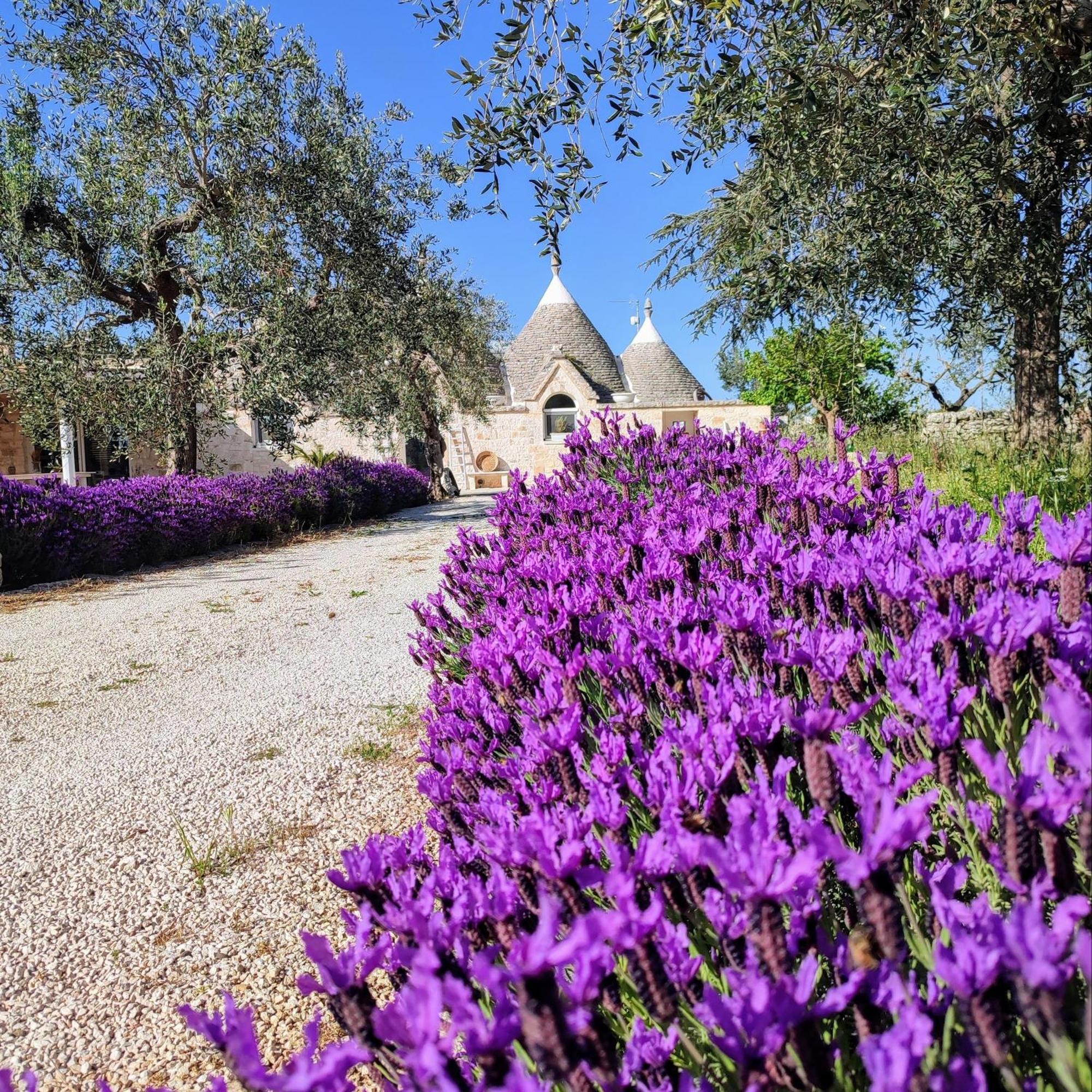La Relais Del Trullo Bed & Breakfast Putignano Exterior photo